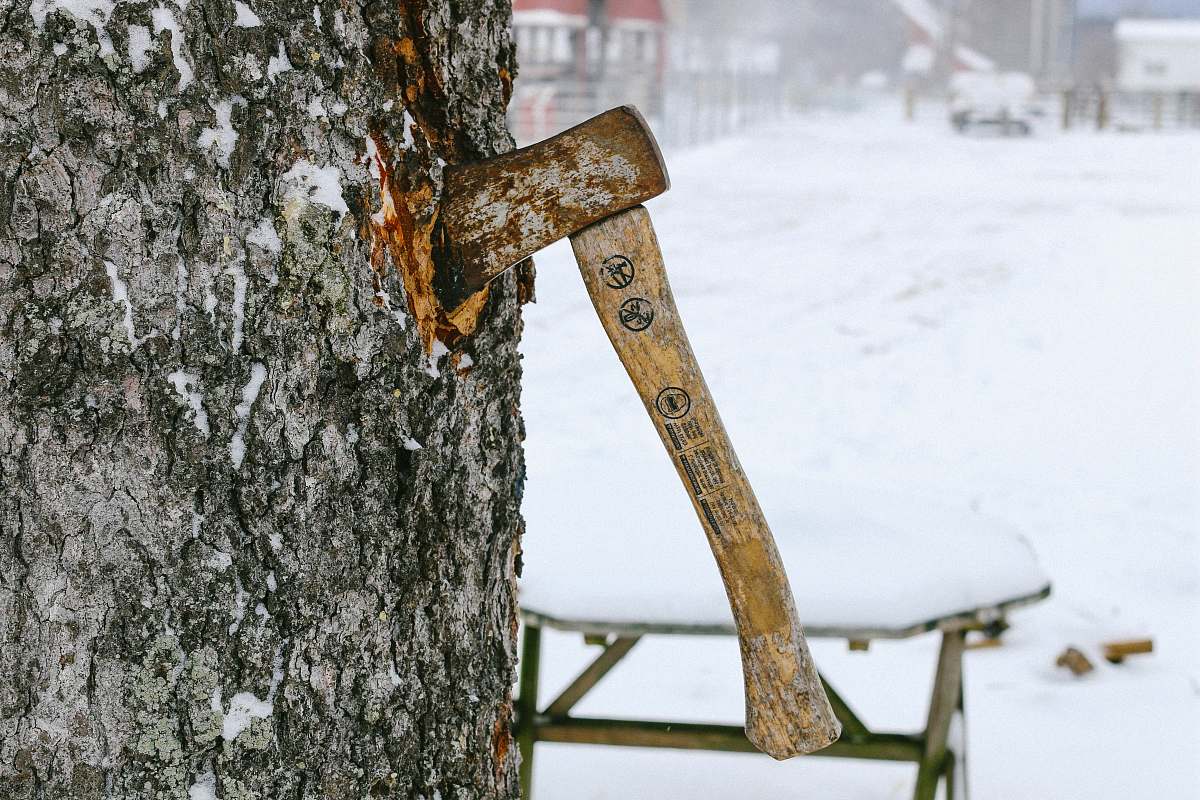 outdoors axe sticked on tree trunk cooperstown